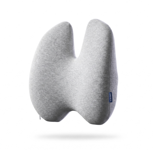 Cojín Lumbar de Soporte