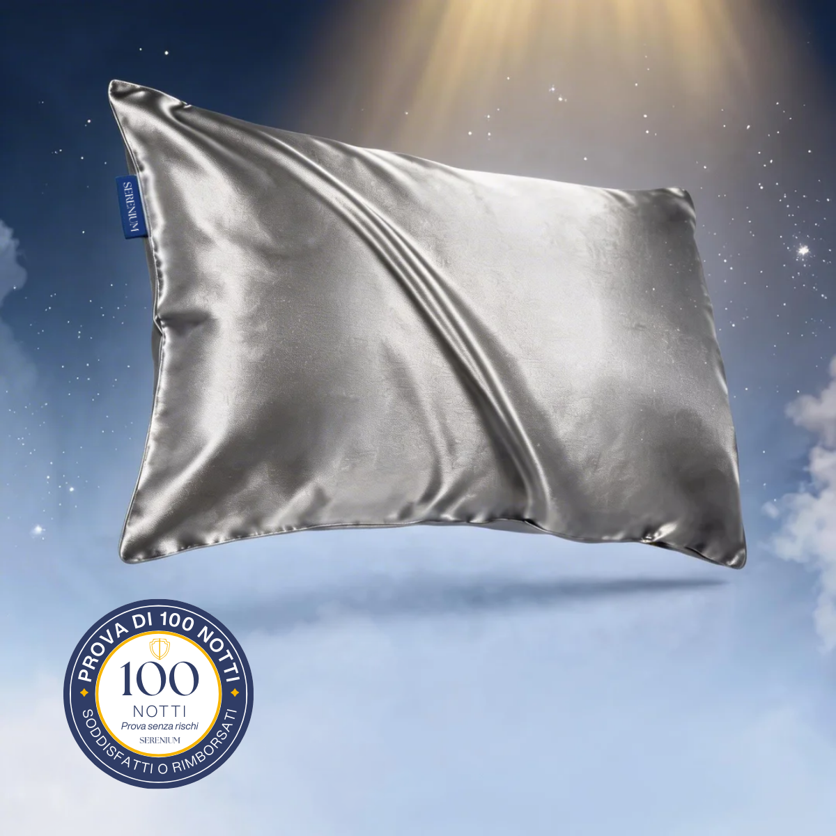 Funda de Almohada de Seda 1+1